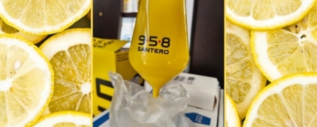 Calice Santero 958 in ABS da Collezione